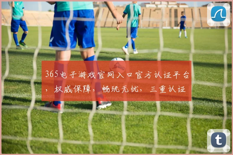 365电子游戏官网入口官方认证平台，权威保障，畅玩无忧，三重认证，安全可靠，畅享游戏乐趣